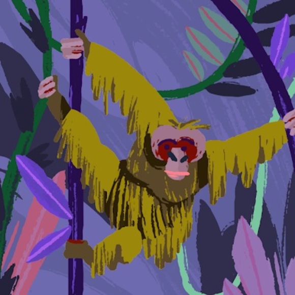 Meet your Posher, Eizera - Picture 1 of 1